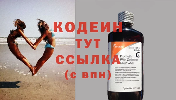 прущие грибы Покачи