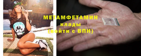 прущие грибы Покачи