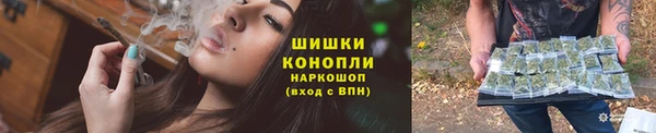 ПСИЛОЦИБИНОВЫЕ ГРИБЫ Покров