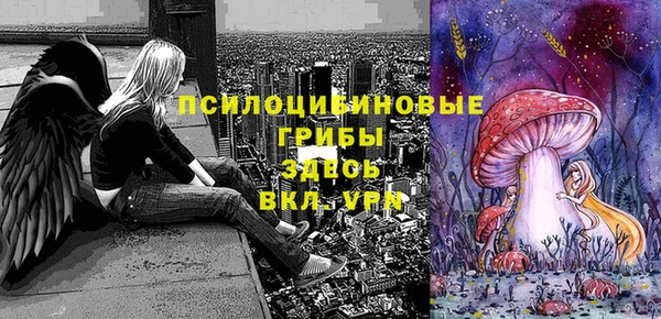 прущие грибы Покачи