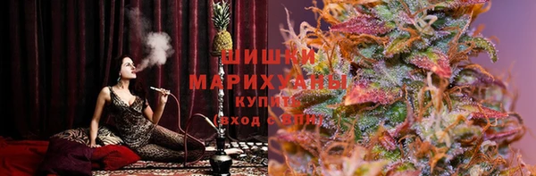 прущие грибы Покачи