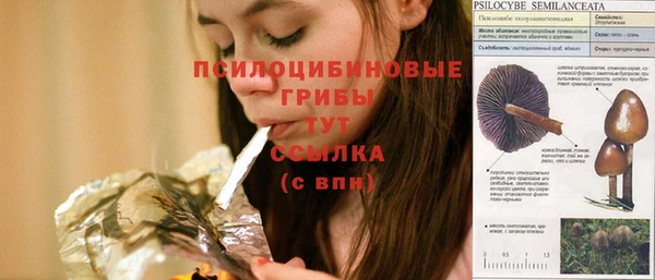 ECSTASY Покровск