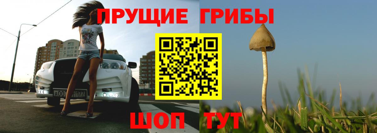 Тихорецк  Галлюциногенные грибы ЛСД  Вход с VPN 