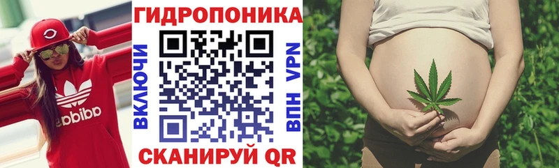 кракен ONION  Тихорецк  Бошки марихуана тримм  магазин   